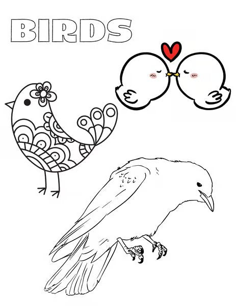 Animal Print Coloring